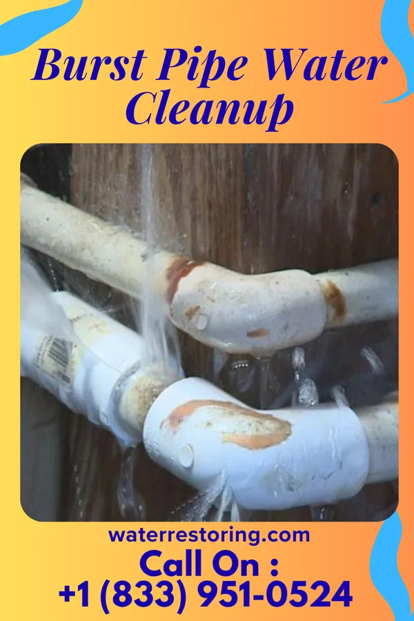 Burst Pipe Water Cleanup in Hillsville, VA