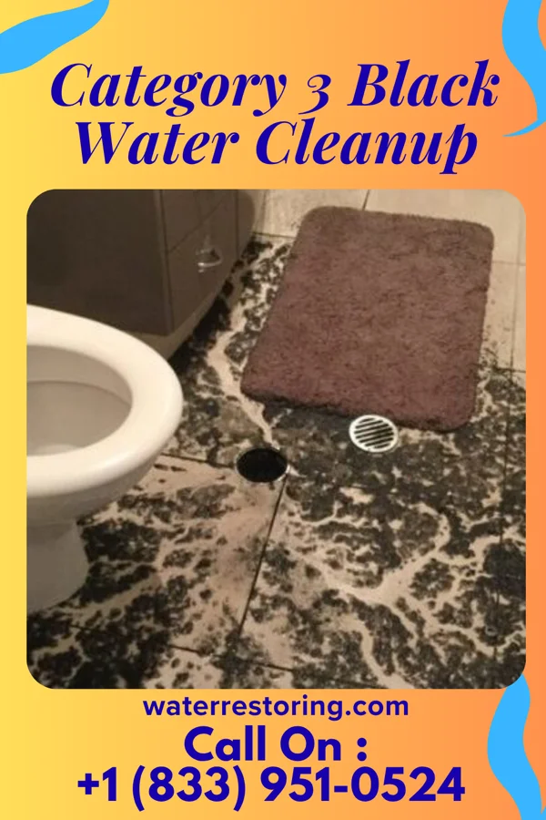 Category 3 Black Water Cleanup in Hillsville, VA