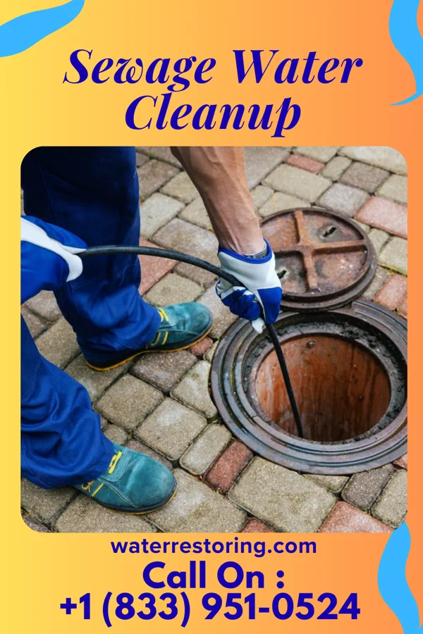Sewage Water Cleanup in Hillsville, VA